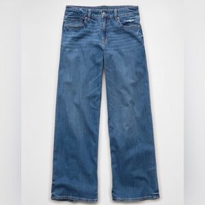 American Eagle Outfitters Low Rise Baggy Wide Leg Jeans